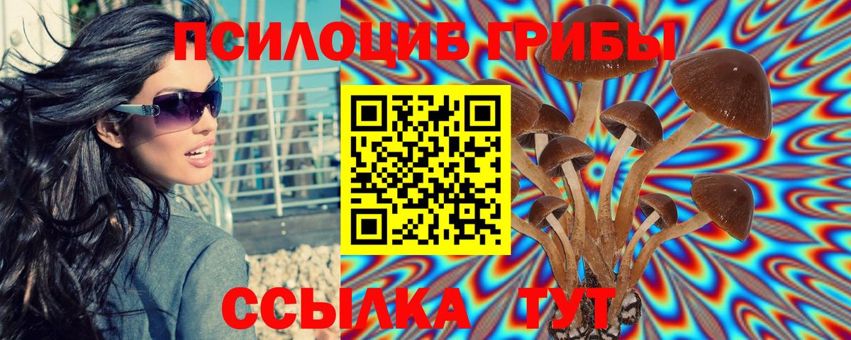 Северобайкальск  Псилоцибиновые грибы прущие грибы  Вход с VPN 