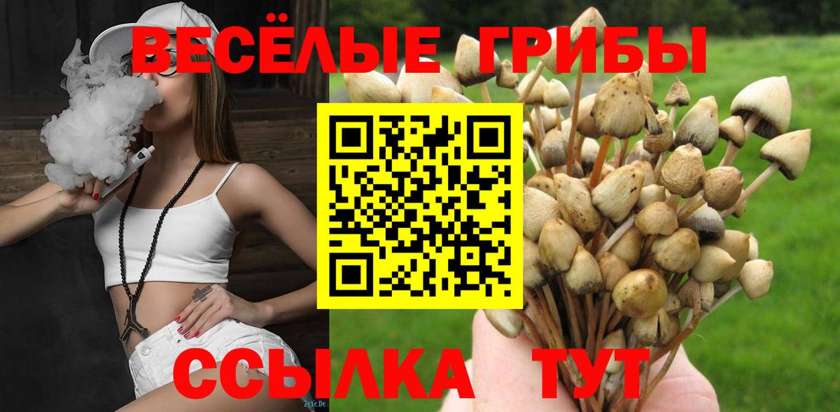Галлюциногенные грибы MAGIC MUSHROOMS Северобайкальск